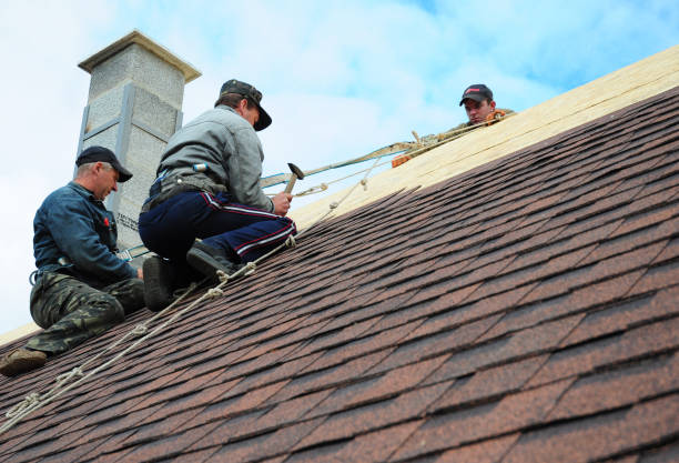 Best Metal Roofing Contractor  in Pocatello, ID